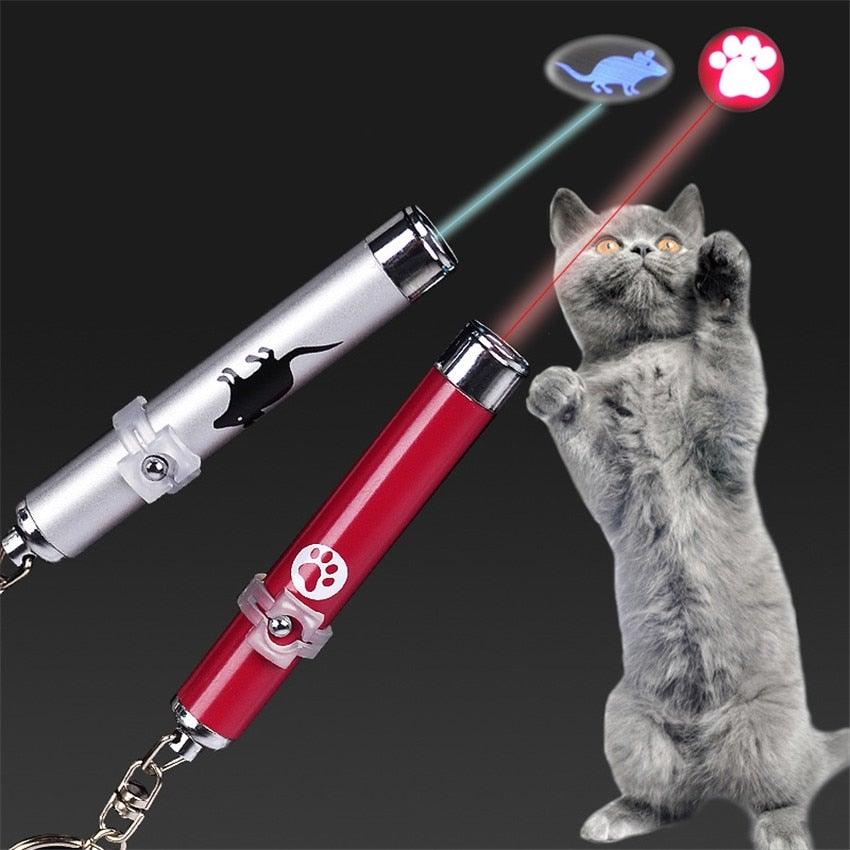 Funny Pet LED Laser Toy Cat Pointer set of 2 in red & silver by Stevvex with LED animation on Tampa Home & Garden Store