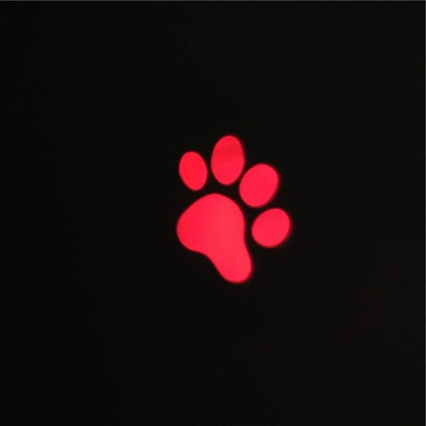 Stevvex LED cat laser toy red paw print projection for indoor cats and dogs long-range on Tampa Home & Garden Store