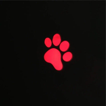 Stevvex LED cat laser toy red paw print projection for indoor cats and dogs long-range on Tampa Home & Garden Store