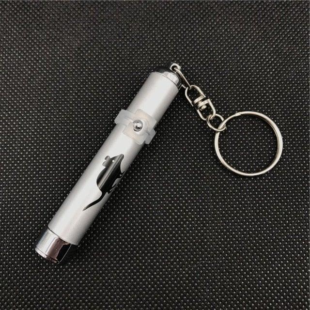 Stevvex silver pen-style laser pointer keychain with clip and ring for pets on Tampa Home & Garden Store