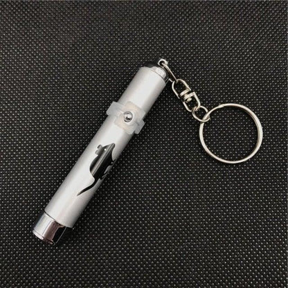 Stevvex silver pen-style laser pointer keychain with clip and ring for pets on Tampa Home & Garden Store