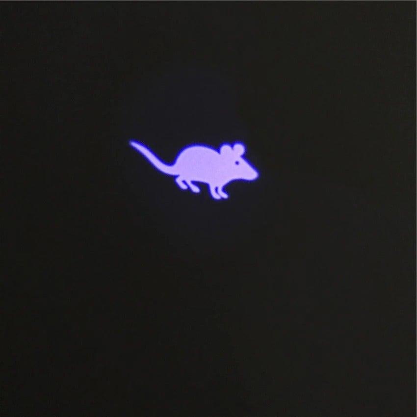 Cat laser pointer toy with LED purple mouse shadow for indoor cats and dogs on Tampa Home & Garden Store