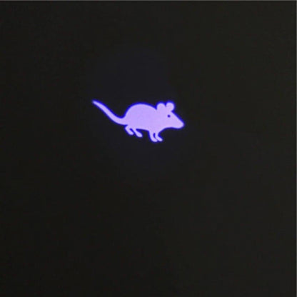 Cat laser pointer toy with LED purple mouse shadow for indoor cats and dogs on Tampa Home & Garden Store