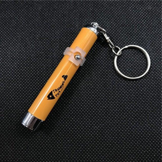 Orange cat laser pointer pen with keyring and clip, plastic body, metal tip for indoor pets on Tampa Home & Garden Store