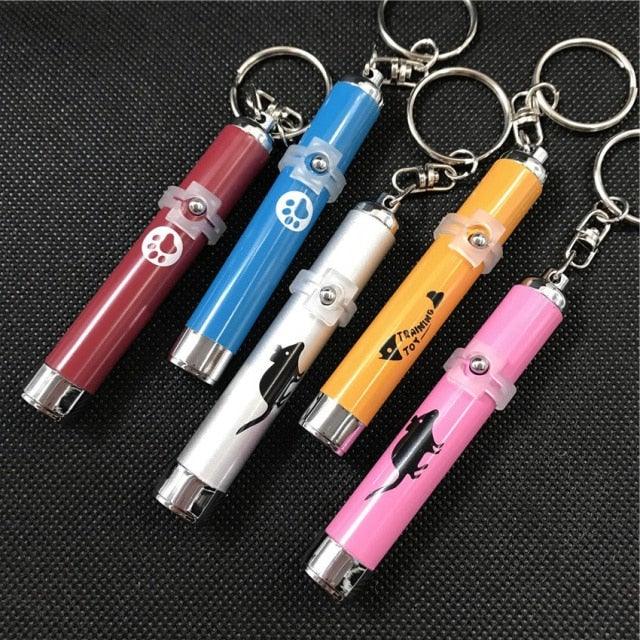 Stevvex LED laser pointer keychain cat toy set of five in red blue white orange pink on Tampa Home & Garden Store