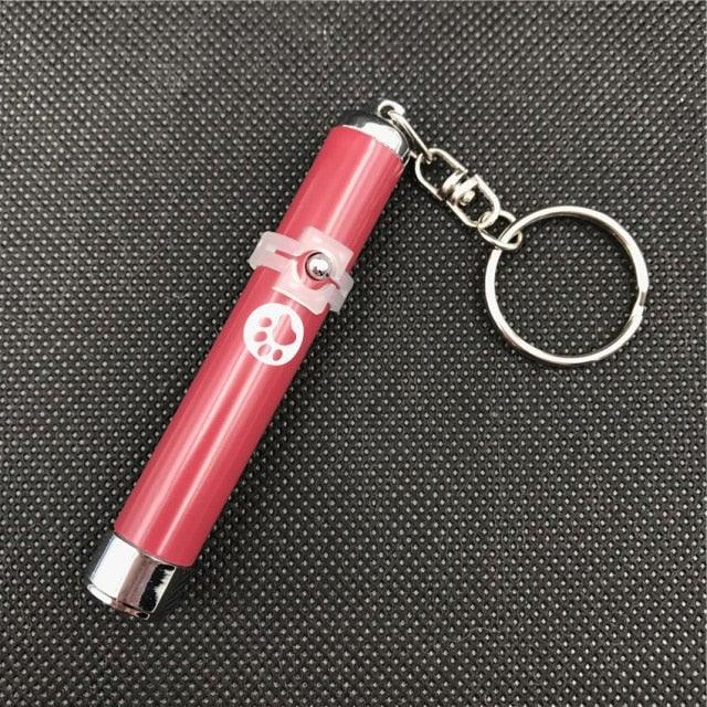 Red pen-style LED laser pointer pet toy with keychain and paw-print logo on Tampa Home & Garden Store