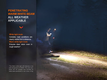 Fenix HM65R-DT headlamp on dark night trail with two runners and bright beam on Tampa Home & Garden Store