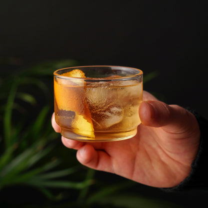 Bodega Modern Borosilicate Glasses Set of 6