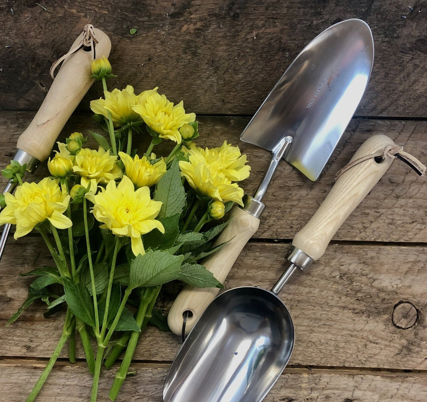 Ensemble d'outils à main de jardin - Bois dur et acier inoxydable