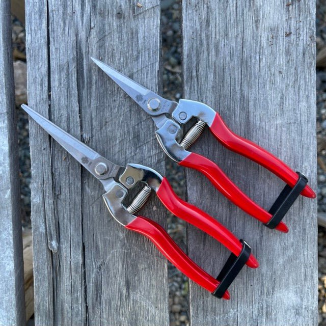 Garden Pruner Bundle Gift Set - Save on 3