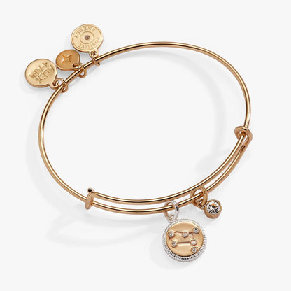 Gemini zodiac charm bangle by Alex and Ani in rose gold with crystal charms on Tampa Home & Garden Store