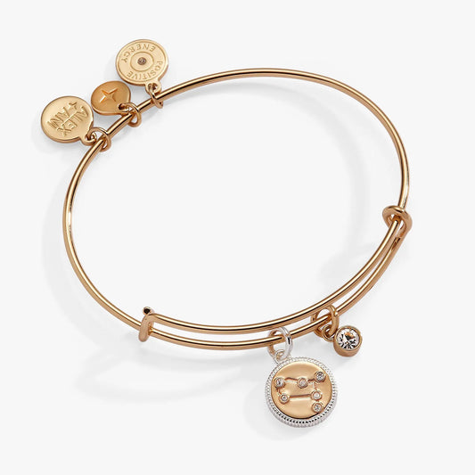 Gemini zodiac charm bangle by Alex and Ani in rose gold with crystal charms on Tampa Home & Garden Store