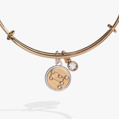 Gemini Zodiac Charm Bangle in rose gold tone with crystal accents by ALEX AND ANI on Tampa Home & Garden Store