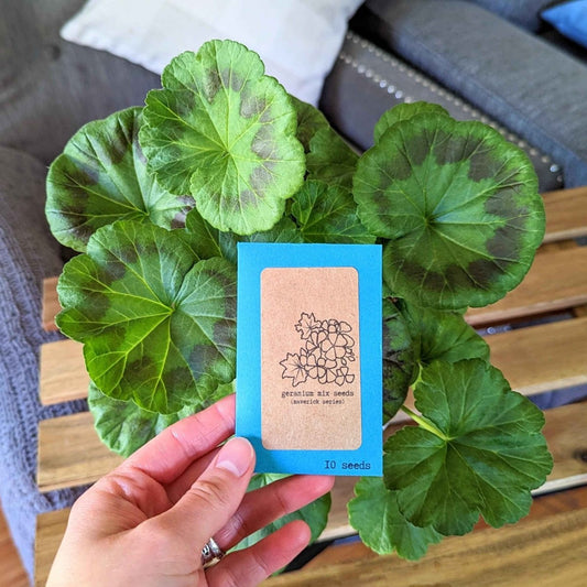 Geranium Seeds