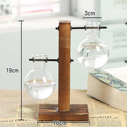 Glass Planter Bulb Vase with Wooden Stand