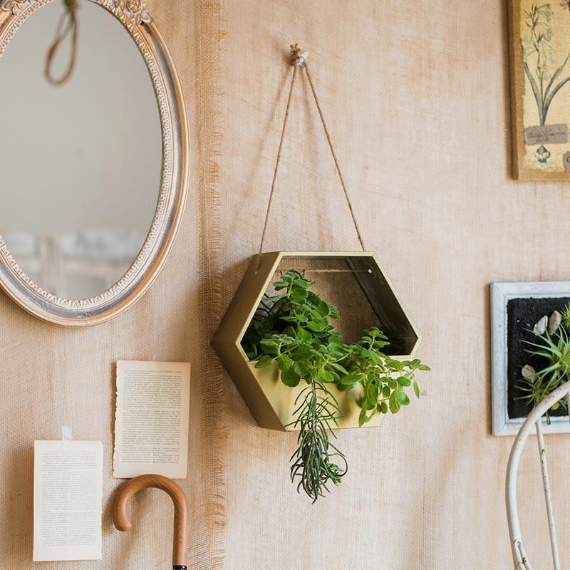 Gold hexagon metal hanging planter filled with green herbs by RusticReach on Tampa Home & Garden Store
