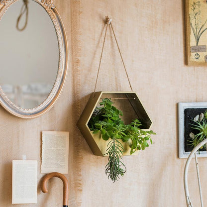 Gold hexagon metal hanging planter filled with green herbs by RusticReach on Tampa Home & Garden Store