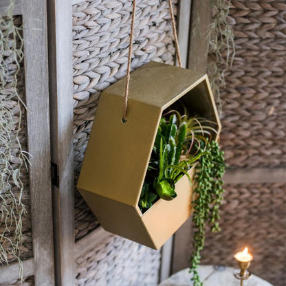 Gold metal hexagon hanging planter with lush succulents and jute hanger RusticReach on Tampa Home & Garden Store