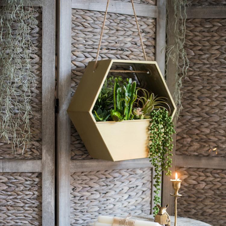 Gold metal hexagon hanging planter by RusticReach with assorted succulents on Tampa Home & Garden Store