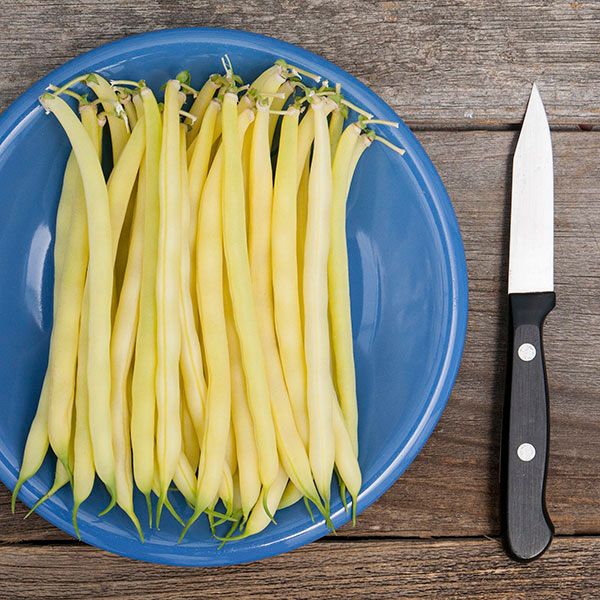 Gold Rush Yellow Wax Beans on a blue plate with a knife on Tampa Home & Garden Store