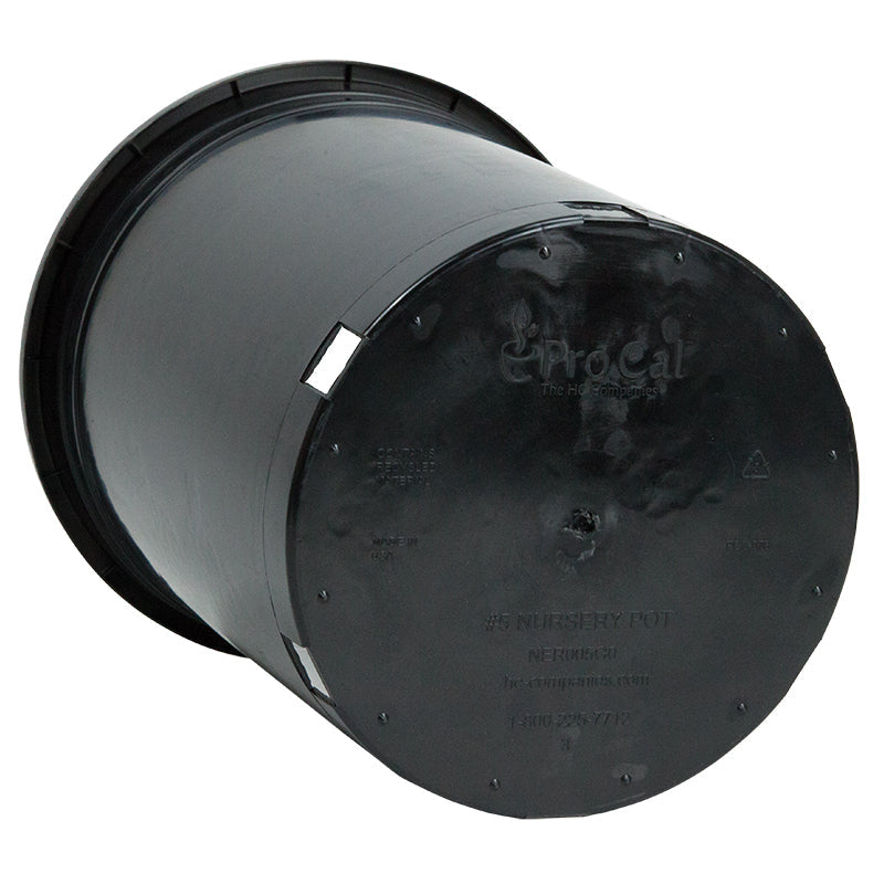 Pot en plastique noir (taille 5 gallons)