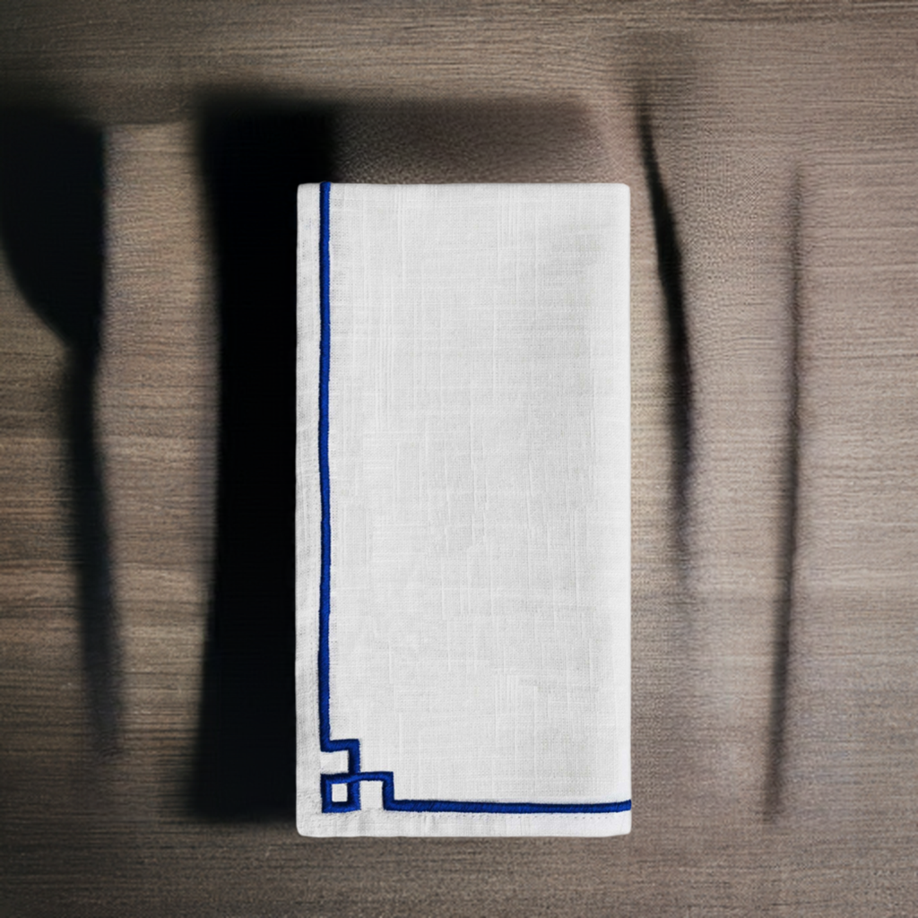 Vibhsa Cotton Table Napkins, white with blue embroidery border, set of 4, 20x20 in on Tampa Home & Garden Store