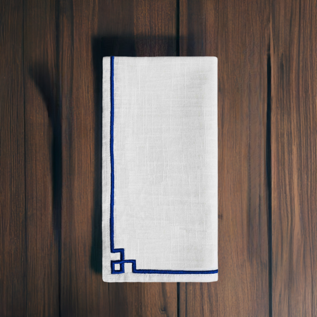 Vibhsa cotton table napkins set of 4, white with blue embroidery border, 20x20 folded on Tampa Home & Garden Store