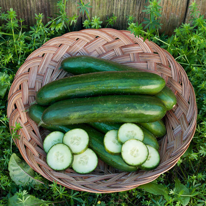 Green Finger Cucumber in a woven basket with whole and sliced cucumbers on Tampa Home & Garden Store