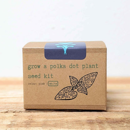 Grow a Polka Dot Seed Kit