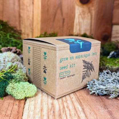 Grow an Asparagus Fern Plant Seed Kit