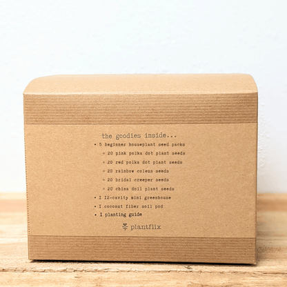 "Grow an Indoor Jungle" Houseplant Seed Kit