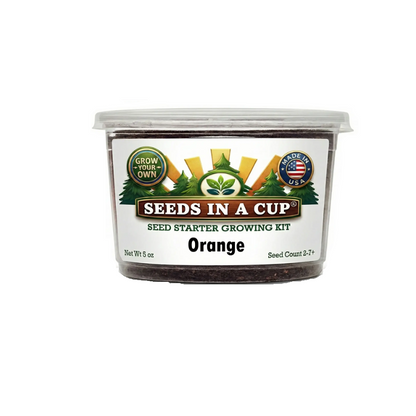 Orange Tree Grow Kit
