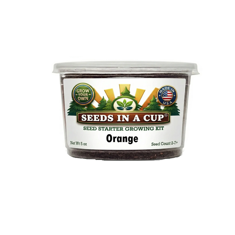 Tree Growing Kit - Choose Your Tree Type