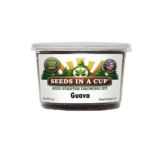 Kit de cultivo de árboles de guayaba
