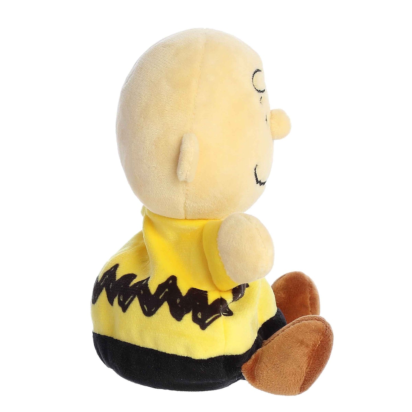 Charlie Brown Palm Pal