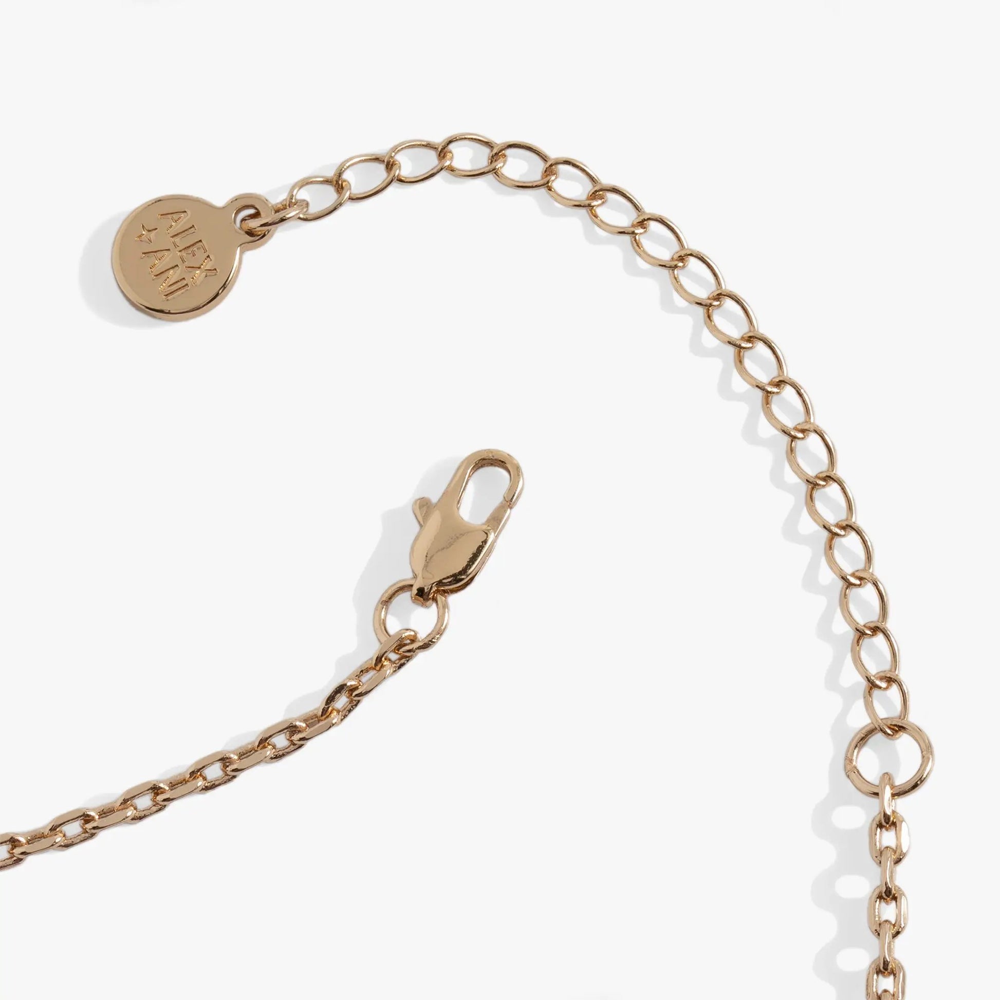Crystal Bat Pendant necklace in rose gold-tone chain with round ALEX AND ANI tag on Tampa Home & Garden Store