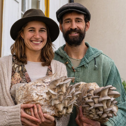 Premium Gold Oyster Mushroom Fruiting Block Grow Kit - 5 LBS