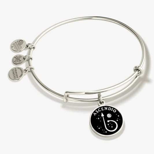 Bracelet: Harry Potter Ascendio charm bangle by ALEX AND ANI, silver-tone with Ascendio pendant on Tampa Home & Garden Store