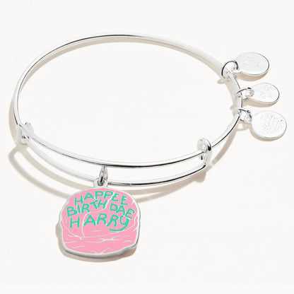 Harry Potter Celebrate Cake Charm Bangle with silver disk charms and Happy Birthday Harry charm on Tampa Home & Garden Store