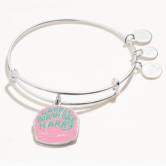 Harry Potter Celebrate Cake Charm Bangle with silver disk charms and Happy Birthday Harry charm on Tampa Home & Garden Store