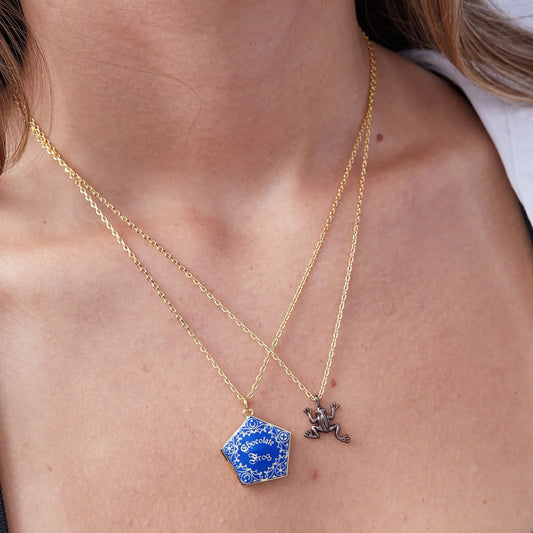 Harry Potter Chocolate Frog necklaces set of 2 on gold chains with blue tile pendant and frog charm on Tampa Home & Garden Store