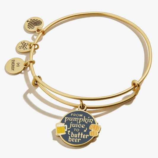 Harry Potter charm bangle by Alex and Ani, bracelet with pumpkin juice to butter beer charms on Tampa Home & Garden Store