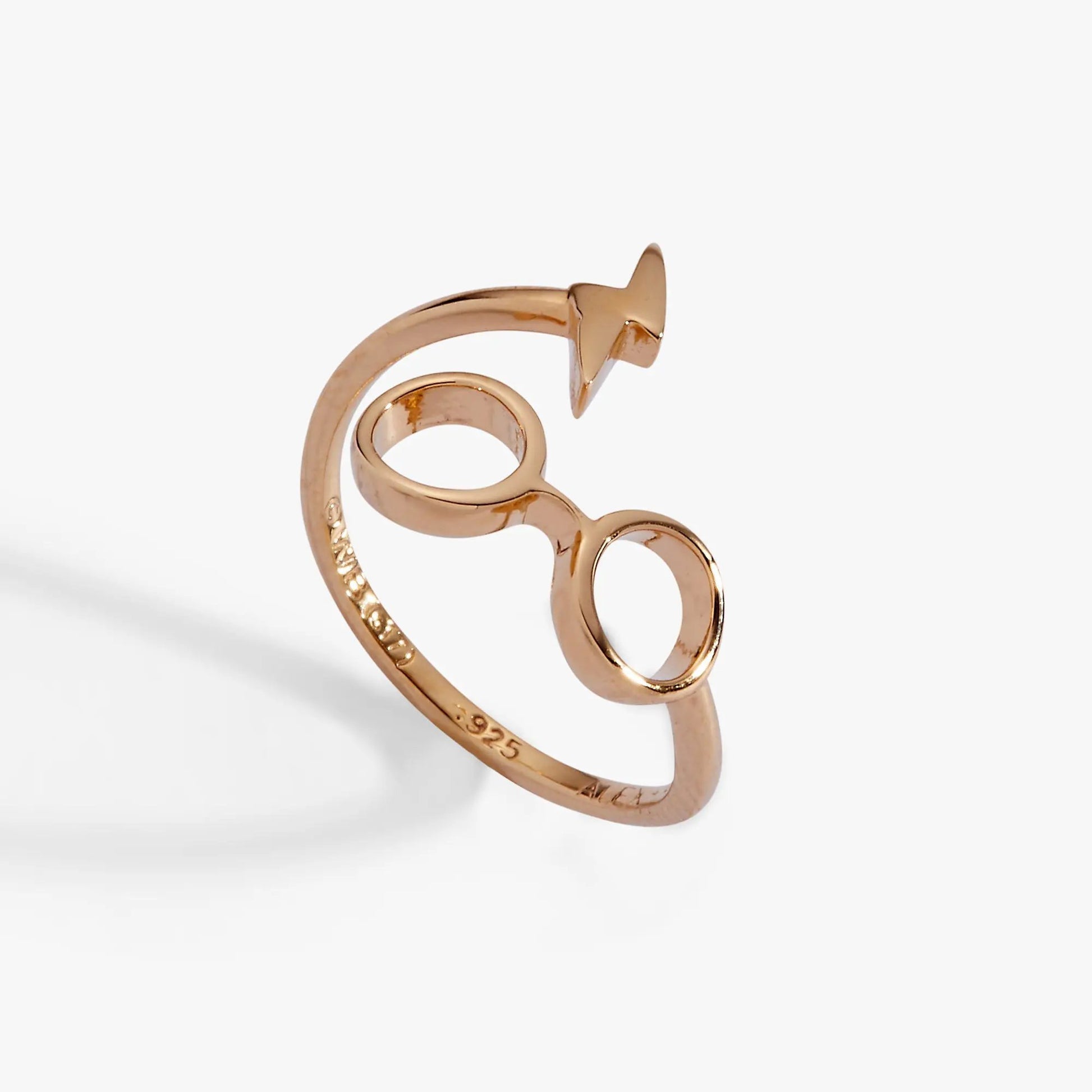 Harry Potter glasses + scar ring wrap in rose gold with two round frames on Tampa Home & Garden Store