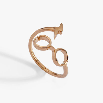 Harry Potter glasses + scar ring wrap in rose gold with two round frames on Tampa Home & Garden Store