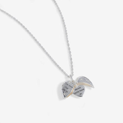 Harry Potter The Ones That Love Us locket necklace, silver-tone rope chain with open heart locket on Tampa Home & Garden Store