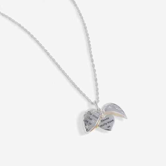 Harry Potter The Ones That Love Us locket necklace, silver-tone rope chain with open heart locket on Tampa Home & Garden Store