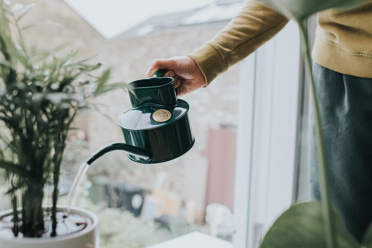 Haws Fazeley Watering Can Small | 1 or 2 pint