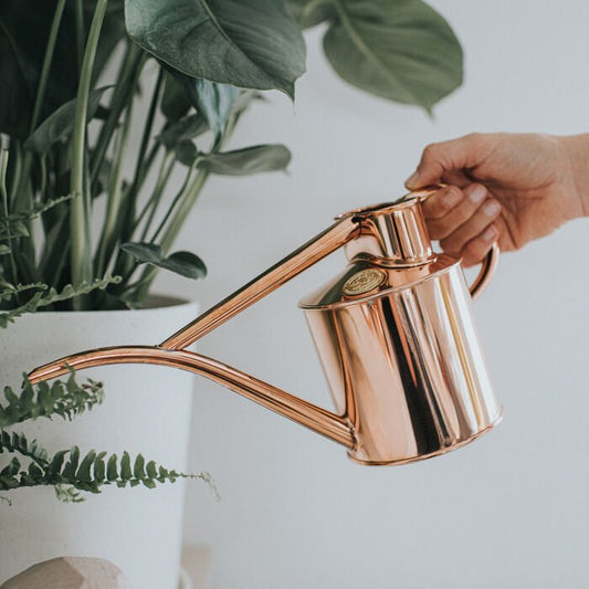 Haws Fazeley Watering Can Small | 1 or 2 pint