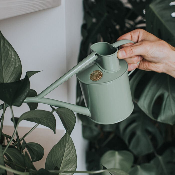 Haws Fazeley Watering Can Small | 1 or 2 pint