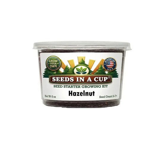 Kit de cultivo de avellanos